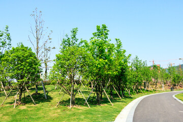 road in the countryside