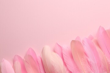 Beautiful feathers on pink background, flat lay. Space for text