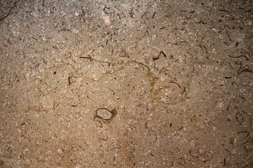 marble texture for background or tiles floor decorative design. stock photo