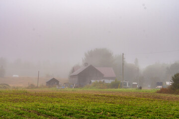 morning in the countryside