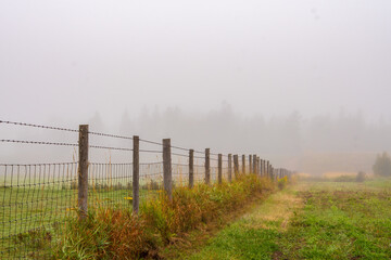 all photos are of nature taken in north Canada