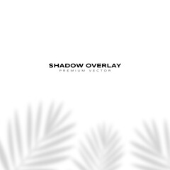 shadow overlay premium vector