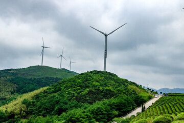 Fototapeta na wymiar wind turbine in the field