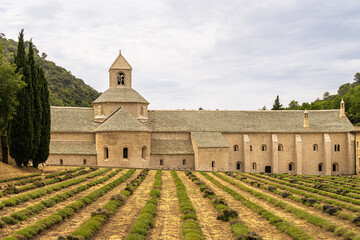 Old Monastery in Senanque, France