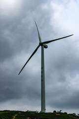 wind turbine in the field