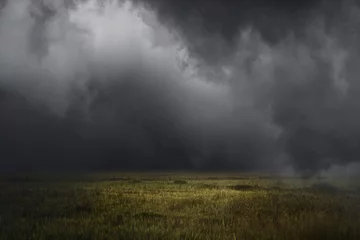 Poster weiden veld en bewolkte lucht landschap landschap onweer © thekopmylife