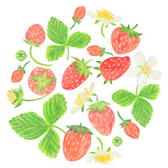 Strawberry circle for a bright summer print on a t-shirt, poster. Hand drawn pencil drawing of juicy berries