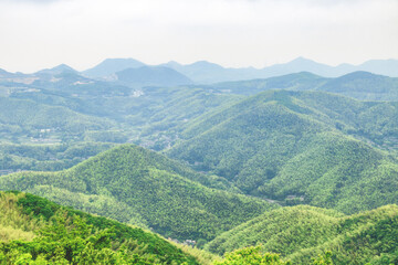 Naklejka premium landscape with clouds