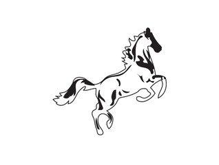 horse illustration isolated