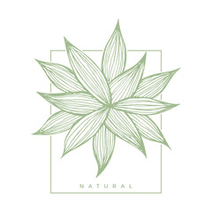 Hand-Drawn Line Art Leaf Vector Collection