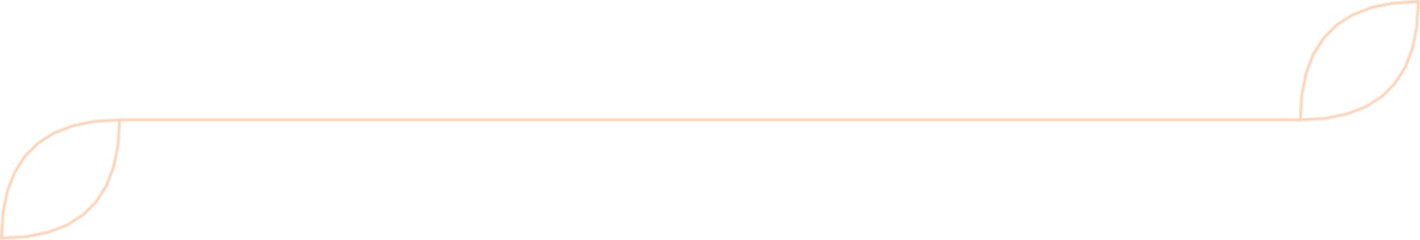 Floral Aesthetic Divider Line Art