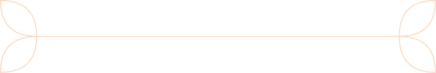 Floral Aesthetic Divider Line Art