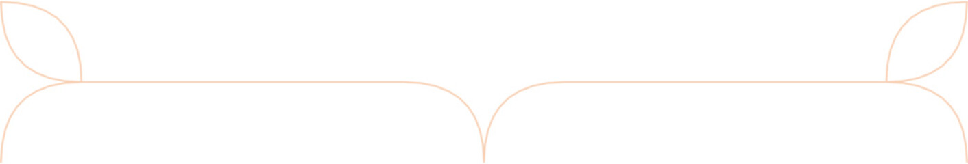 Floral Aesthetic Divider Line Art