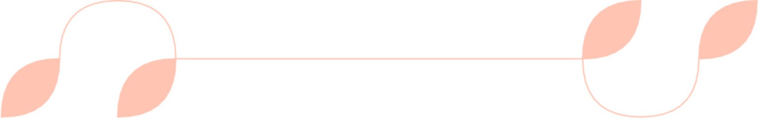 Floral Aesthetic Divider Line Art