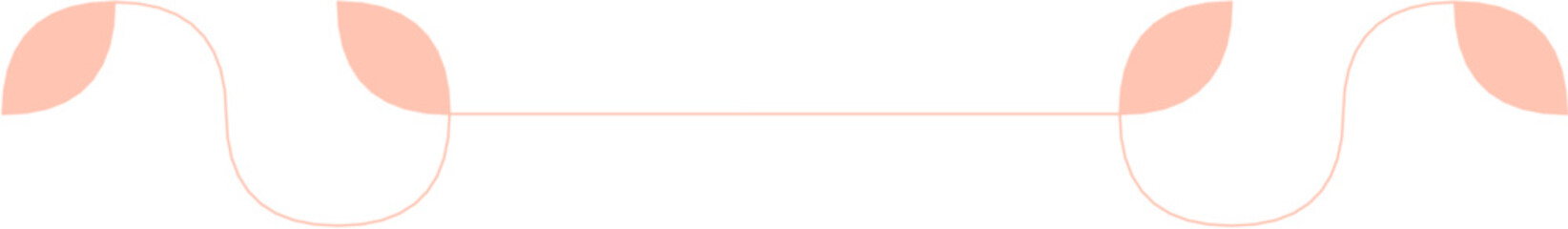 Floral Aesthetic Divider Line Art