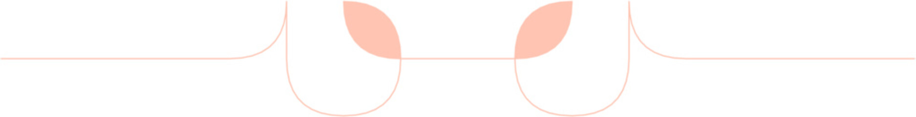 Floral Aesthetic Divider Line Art