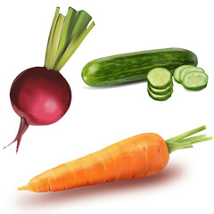 Beetroot, Carrot and cucumber illustration transparent