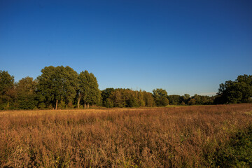 Lüneburger Heide