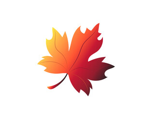 Vector image - maple leaf. Icon. Nature. Golden autumn