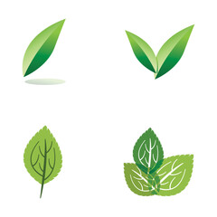 natural green leaf logo icon template