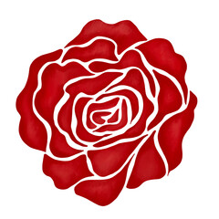 red rose flower illustration