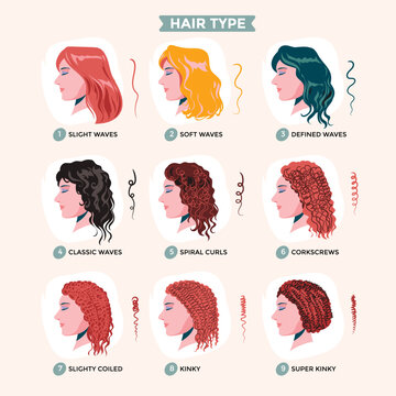 Women Hair Type Collection