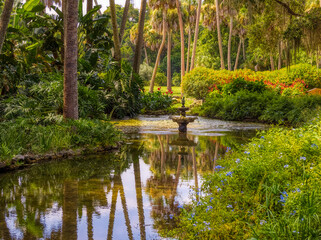 Pond in the Washington Oaks Historic District of Washington Oaks Gardens State Park in Palm Coast Florida  USA