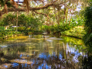 Obraz premium Pond in the Washington Oaks Historic District of Washington Oaks Gardens State Park in Palm Coast Florida USA