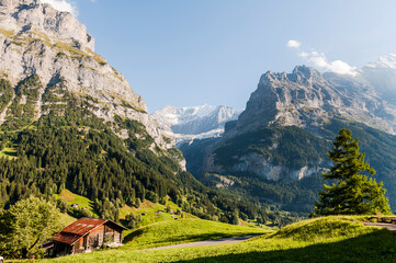 Grindelwald, Unterer Grindelwaldgletscher, Eiger, Eigernordwand, Schreckhorn, Alpen,...