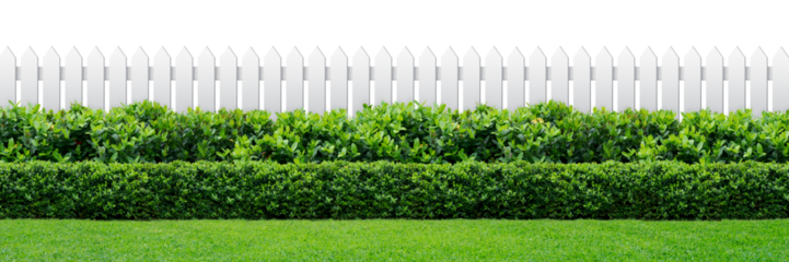 White fence and green hedge. png format.