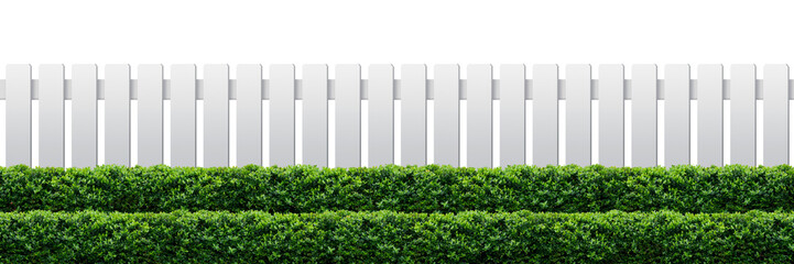 White fence and green hedge. png format.