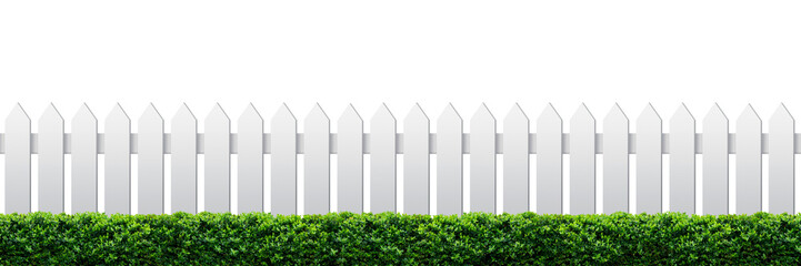 White fence and green hedge. png format.