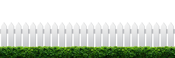 White fence and green hedge. png format.