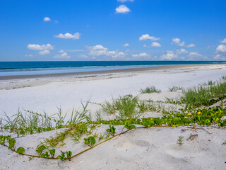 Empty Atlantic Ocean beach in Northeast Florida USA