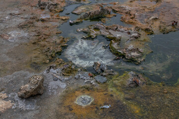 Semuliki National Park in Fort portal in Uganda