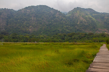 Obraz premium Semuliki National Park in Fort portal in Uganda