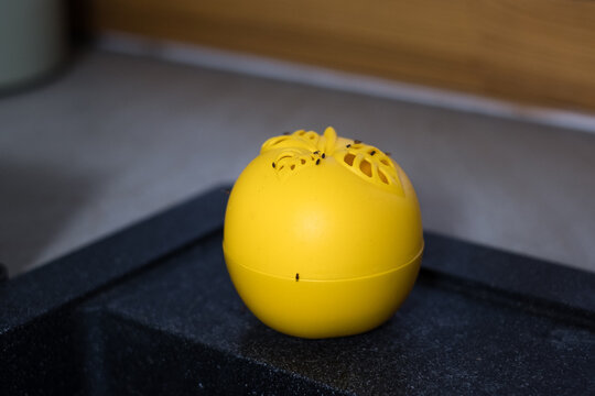 Reusable apple shaped fruit fly trap filled with liquid. Trap for small flies in kitchen. 
