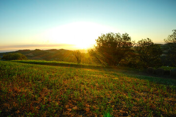 Obraz na płótnie Canvas Sunrise over hayfield
