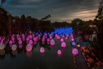 eggs in botanical garden of Singapore
