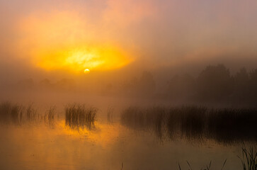 Fototapeta Kolorowy wschód słońca obraz