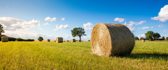 Meule de paille ou de foin dans un paysage de campagne au printemps. © Thierry RYO