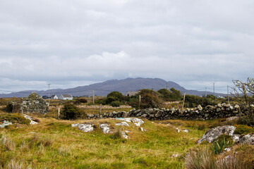 Fototapeta na wymiar sheep in the mountains of Ireland