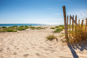 Plage en France et sable blanc au milieu des dunes en été.