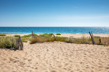 Fototapeta na wymiar Paysage de bord de mer dans les dunes sur les plages de France.