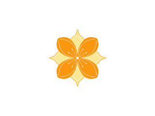 Orange and yellow flowers