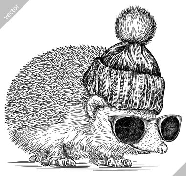 Vintage engrave isolated dressed fashion hedgehog set illustration costume cut ink sketch. Wild new hat sunglasses hipster pet background line glasses hedge vector art