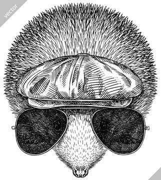 Vintage engrave isolated dressed fashion hedgehog set illustration costume cut ink sketch. Wild new hat sunglasses hipster pet background line glasses hedge vector art