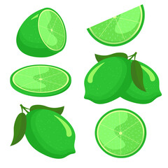 Lime whole and cut isolated on white background. flat style