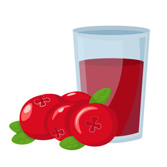 Cranberry juice. Cranberries next to freshly squeezed cranberry juice. flat style