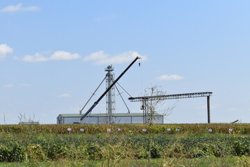 Grain Equipment in a Farm Field